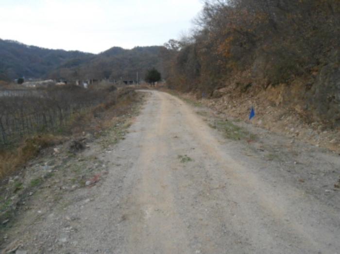 충청북도 진천군 초평면 연담리 산71-4 임야 경매 사진 5