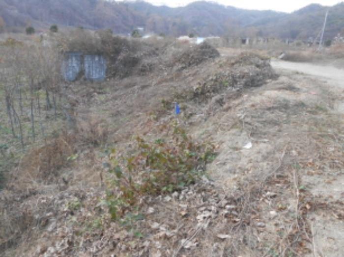 충청북도 진천군 초평면 연담리 산71-4 임야 경매 사진 8