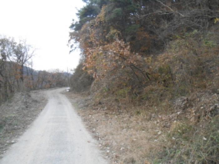 충청북도 진천군 초평면 연담리 산71-4 임야 경매 사진 9