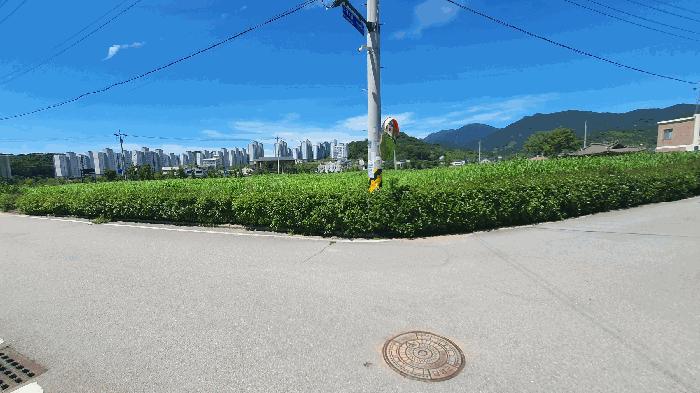 전라남도 담양군 담양읍 가산리 398-1 전 경매 사진 1
