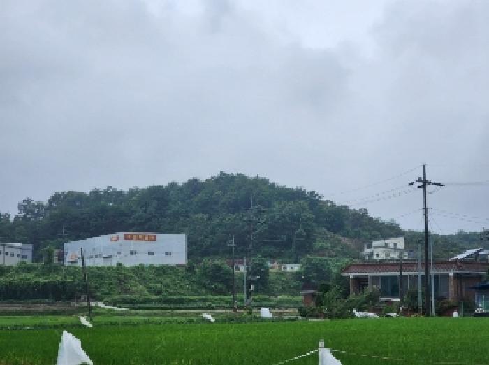 충청북도 진천군 진천읍 신정리 516-2 전 경매 사진 5