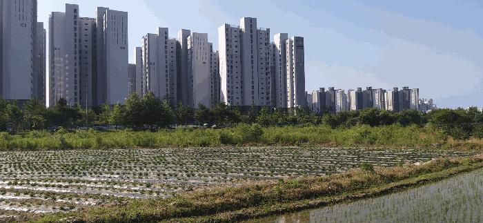 충청북도 증평군 증평읍 미암리 667-1 답 경매 사진 1