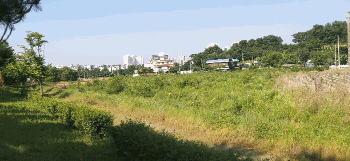 충청북도 증평군 증평읍 미암리 667-1 답 경매 사진 10