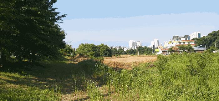 충청북도 증평군 증평읍 미암리 667-1 답 경매 사진 12