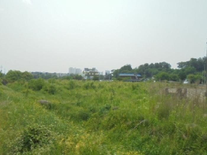 충청북도 증평군 증평읍 미암리 667-1 답 경매 사진 13