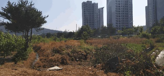충청북도 증평군 증평읍 미암리 667-1 답 경매 사진 2