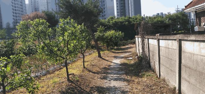 충청북도 증평군 증평읍 미암리 667-1 답 경매 사진 4