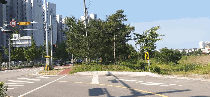 충청북도 증평군 증평읍 미암리 667-1 답 경매 사진 6