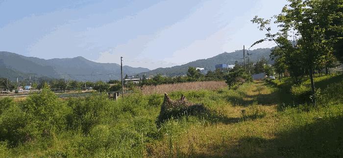 충청북도 증평군 증평읍 미암리 667-1 답 경매 사진 8