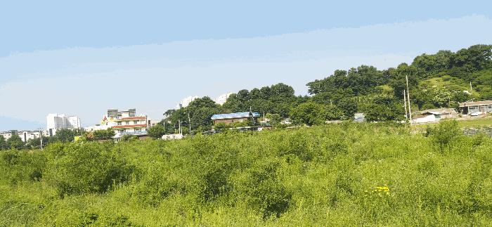 충청북도 증평군 증평읍 미암리 667-1 답 경매 사진 9