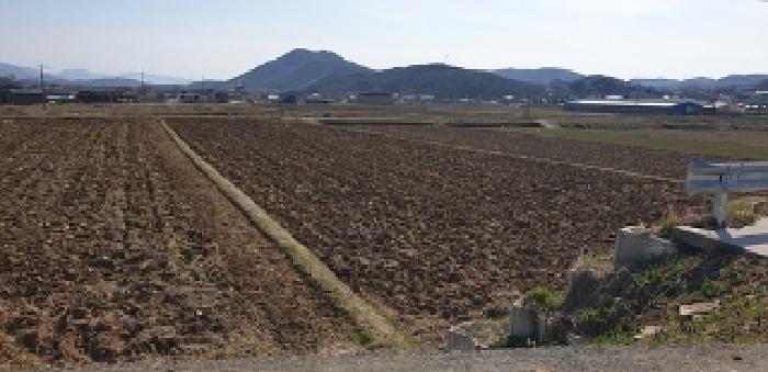 충청남도 예산군 광시면 시목리 392-8 답 경매 사진 14