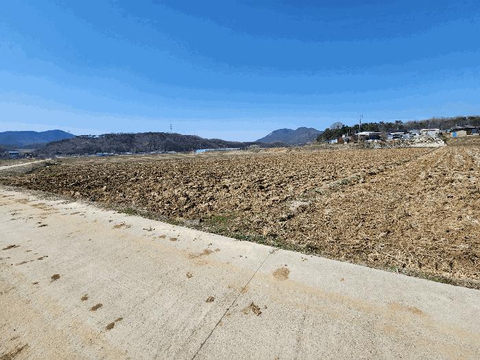 충청남도 예산군 광시면 시목리 392-8 답 경매 사진 7