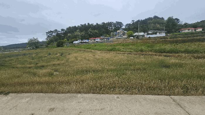충청남도 보령시 전