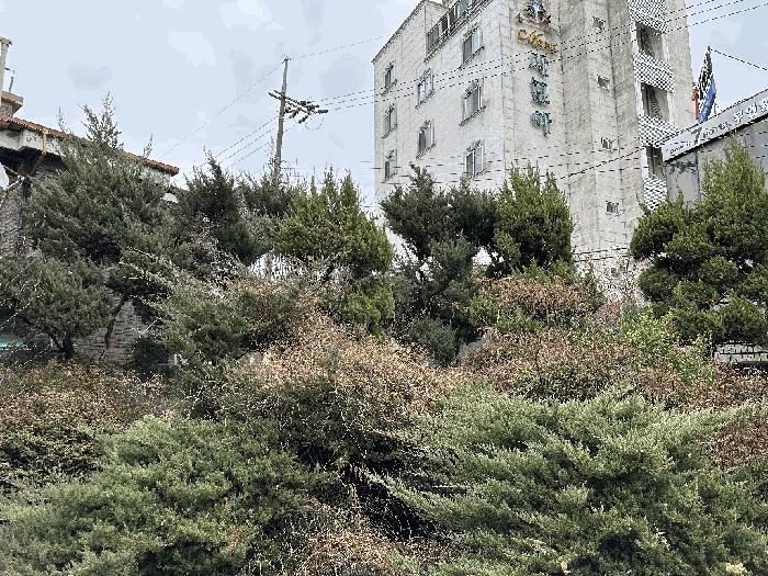 대전광역시 중구 문창동 43-5 주택 경매 사진 2