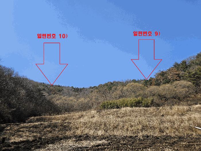 경상북도 경주시 하동 산196 임야 경매 사진 1