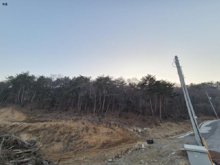 경상북도 경주시 하동 산196 임야 경매 사진 13