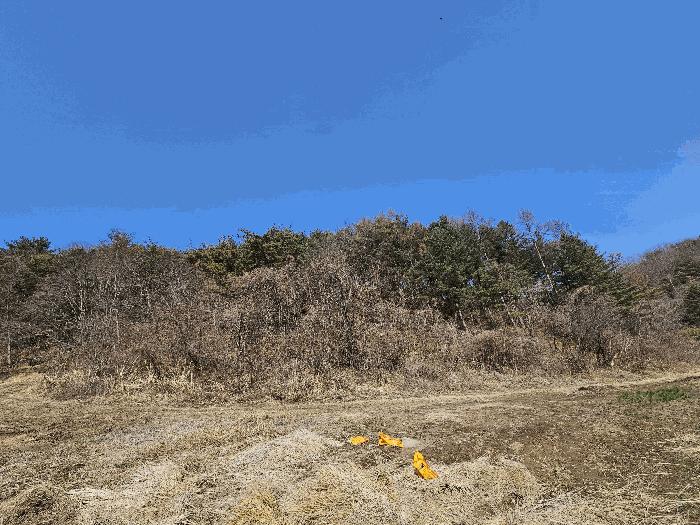 경상북도 경주시 하동 산196 임야 경매 사진 2