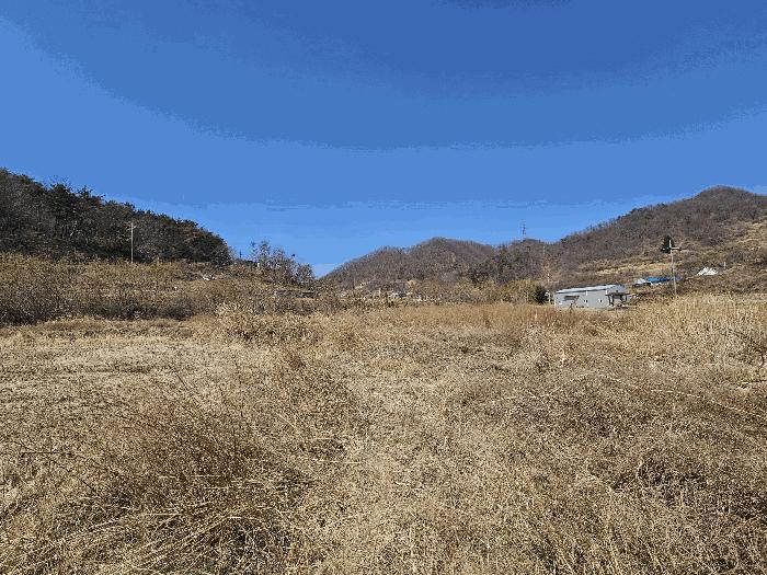 경상북도 경주시 하동 산196 임야 경매 사진 3