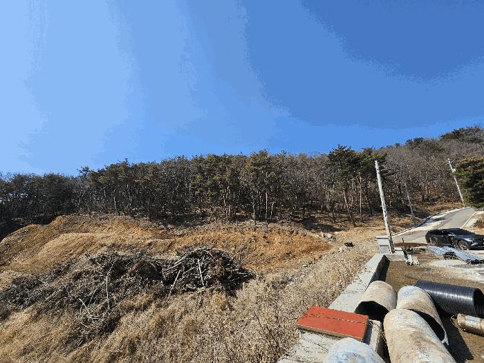 경상북도 경주시 하동 산196 임야 경매 사진 4