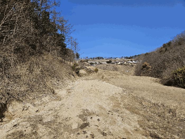 경상북도 경주시 하동 산196 임야 경매 사진 7