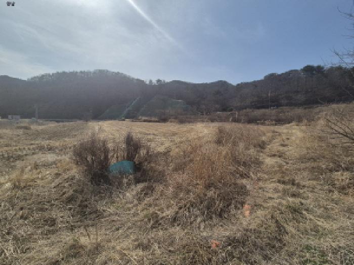 경상북도 경주시 하동 산196 임야 경매 사진 9