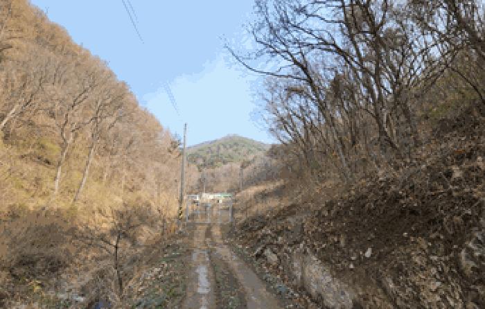 경상북도 경주시 산내면 감산리 산223 임야 경매 사진 2