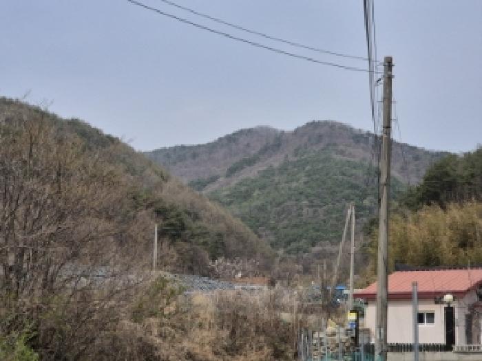 경상북도 경주시 산내면 감산리 산223 임야 경매 사진 3