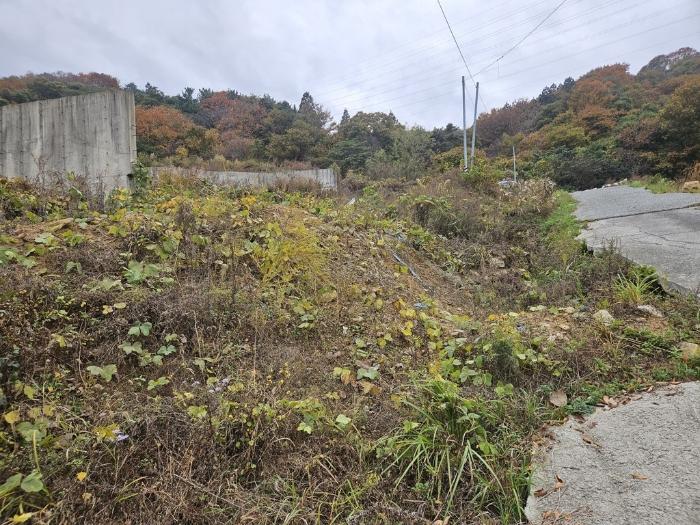 경상남도 김해시 생림면 나전리 27-8 대지 경매 사진 8