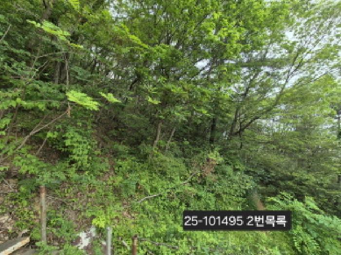 부산광역시 강서구 눌차동 389-1 전 경매 사진 3