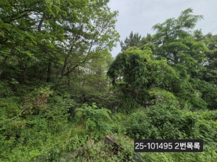 부산광역시 강서구 눌차동 389-1 전 경매 사진 4