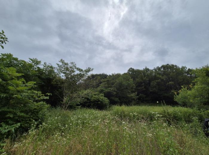 부산광역시 강서구 성북동 1413-2 전 경매 사진 2
