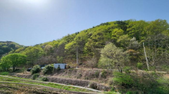 경상남도 양산시 매곡동 산24-1 임야 경매 사진 8