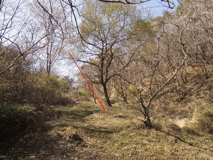 울산광역시 울주군 언양읍 구수리 713 답 경매 사진 2