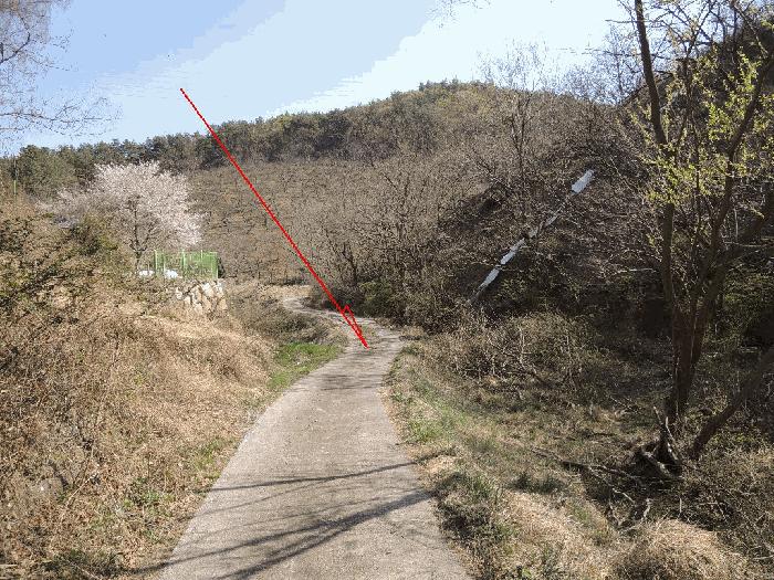 울산광역시 울주군 언양읍 구수리 713 답 경매 사진 3