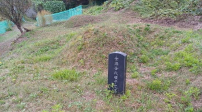 경기도 남양주시 진건읍 배양리 42 전 경매 사진 9