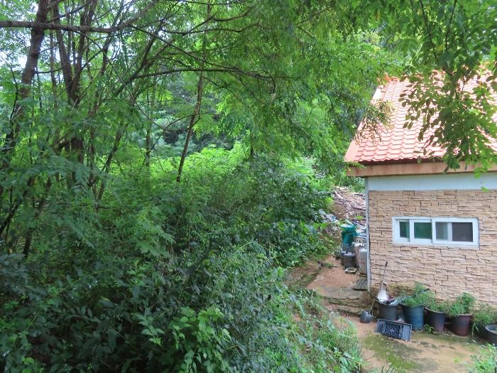 경기도 이천시 부발읍 신하리 산15-1 임야 경매 사진 10
