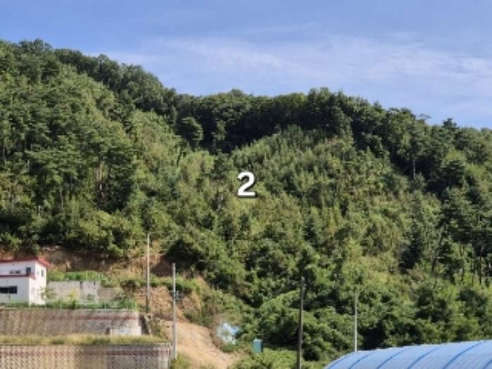 경기도 양평군 강하면 성덕리 산1-11 임야 경매 사진 11