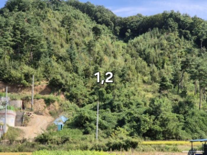경기도 양평군 강하면 성덕리 산1-11 임야 경매 사진 12