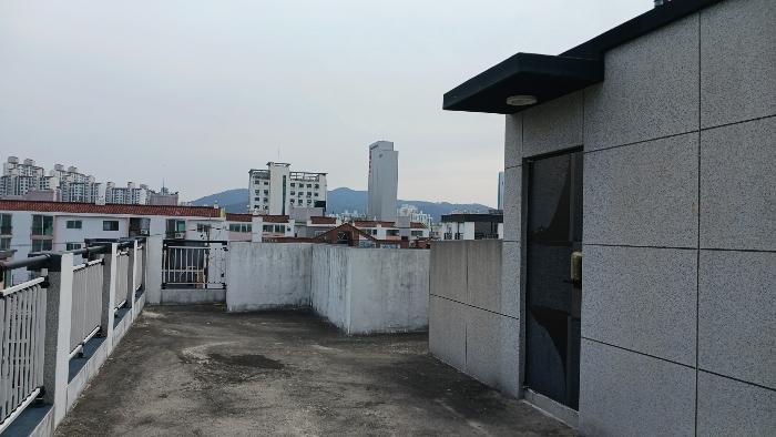 대전광역시 서구 용문동 281-25 근린주택 경매 사진 12