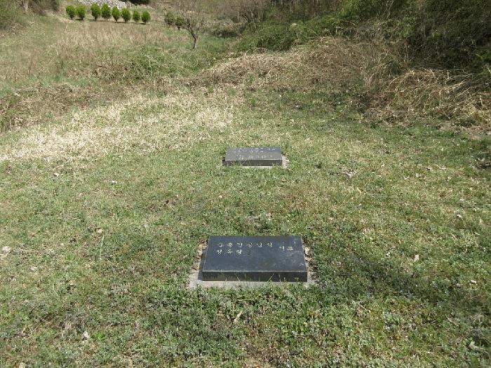 전라남도 화순군 한천면 한계리 287 전 경매 사진 1