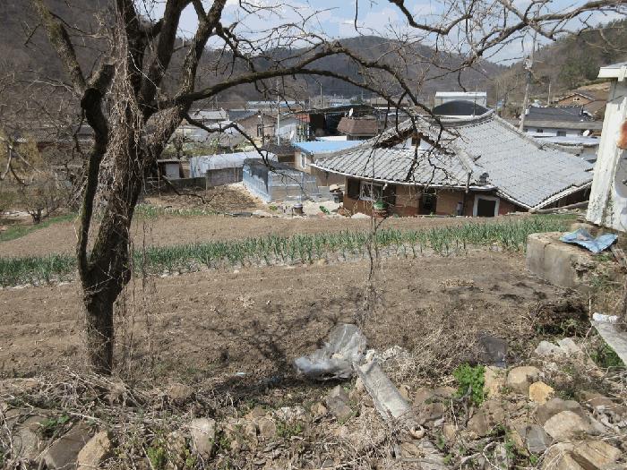전라남도 화순군 한천면 한계리 287 전 경매 사진 2