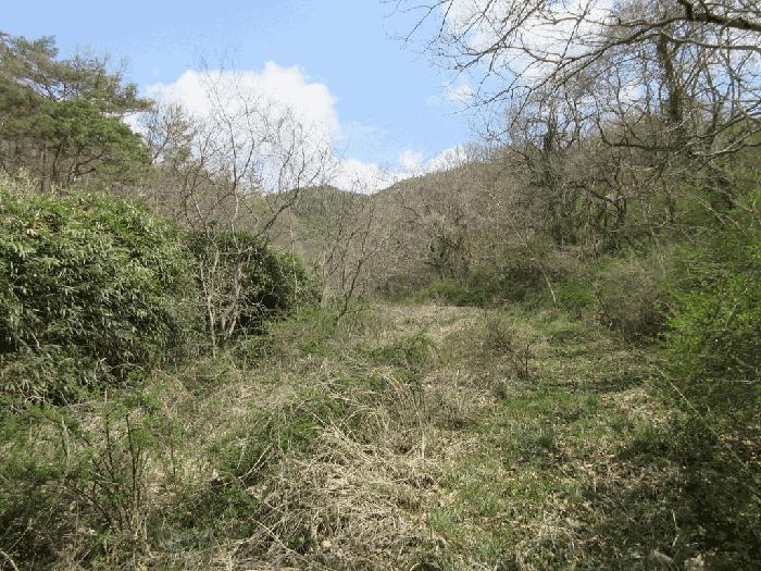 전라남도 화순군 한천면 한계리 289 주택 경매 사진 4
