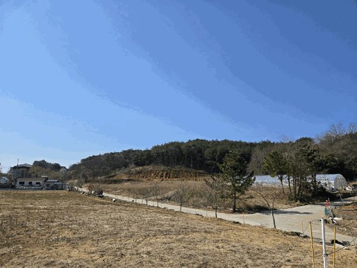 강원특별자치도 양양군 손양면 도화리 96-4 전 경매 사진 2