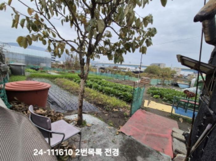 부산광역시 강서구 대저1동 806-6 답 경매 사진 12