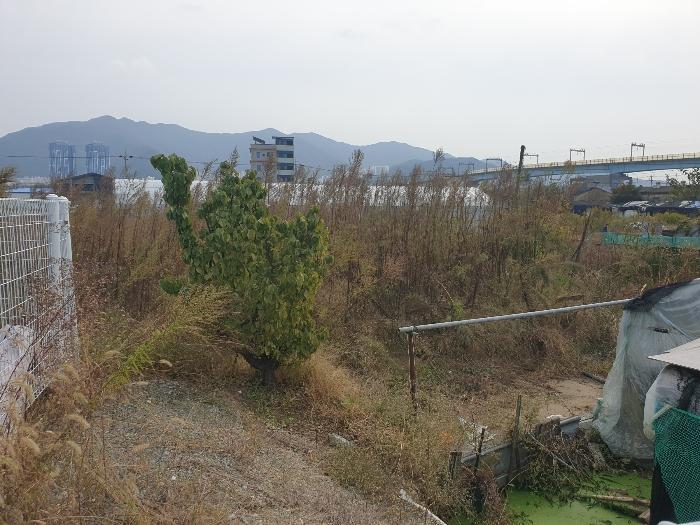 부산광역시 강서구 대저1동 806-6 답 경매 사진 4