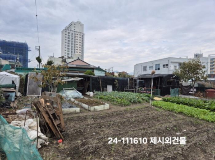 부산광역시 강서구 대저1동 806-6 답 경매 사진 5