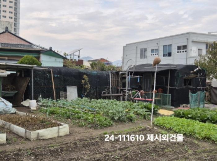 부산광역시 강서구 대저1동 806-6 답 경매 사진 6