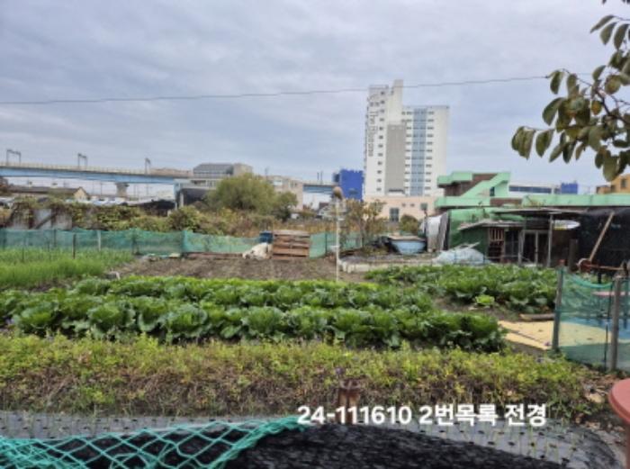 부산광역시 강서구 대저1동 806-6 답 경매 사진 7