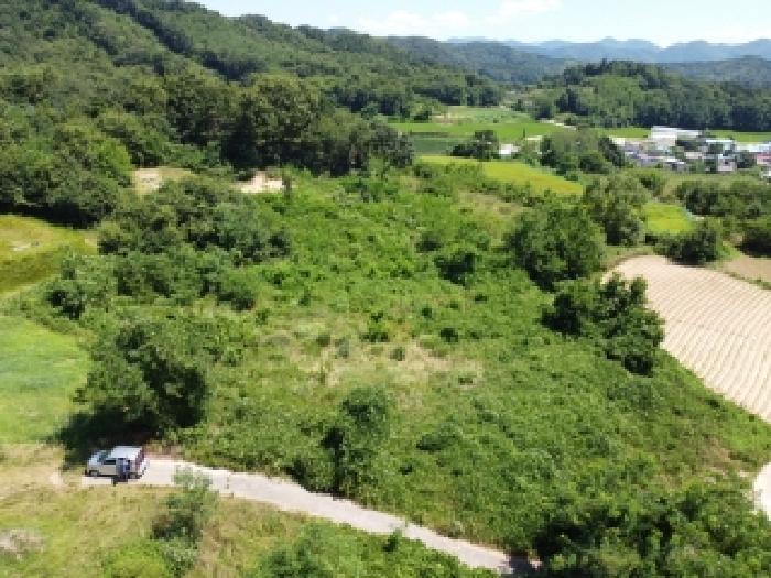 충청북도 보은군 장안면 불목리 69-1 전 경매 사진 7