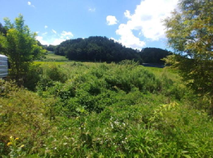 충청남도 금산군 제원면 천내리 915 답 경매 사진 17